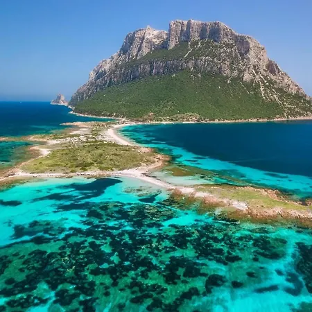 Villa Dolphin House - Splendida Accesso Spiaggia Golfo Aranci